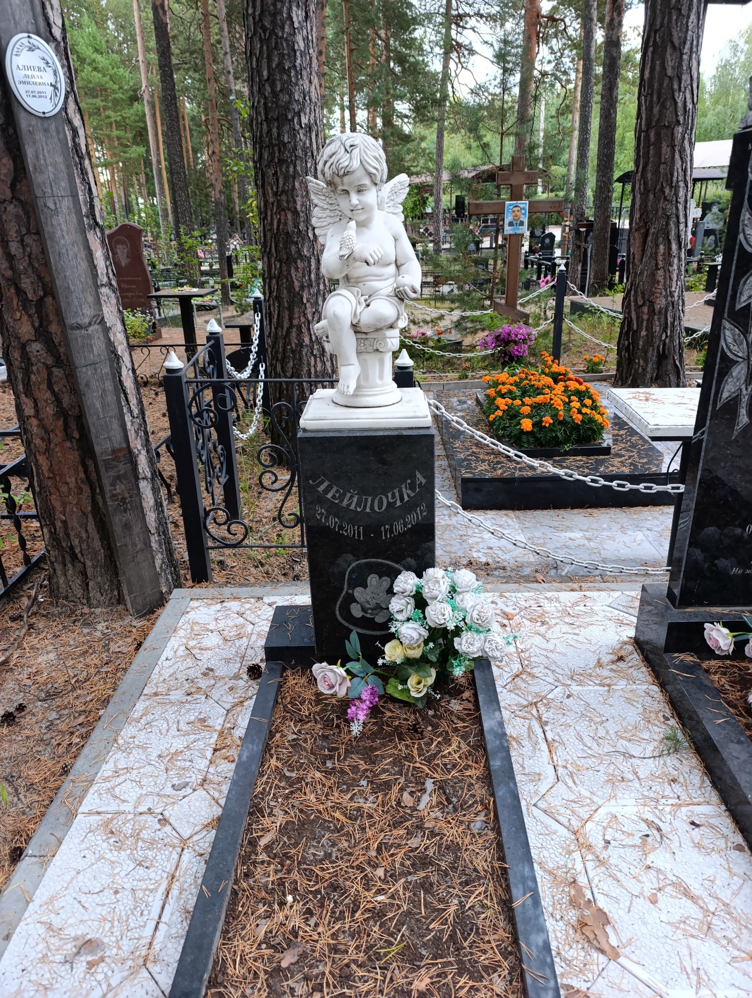 Алиева Лейла Эмилевна