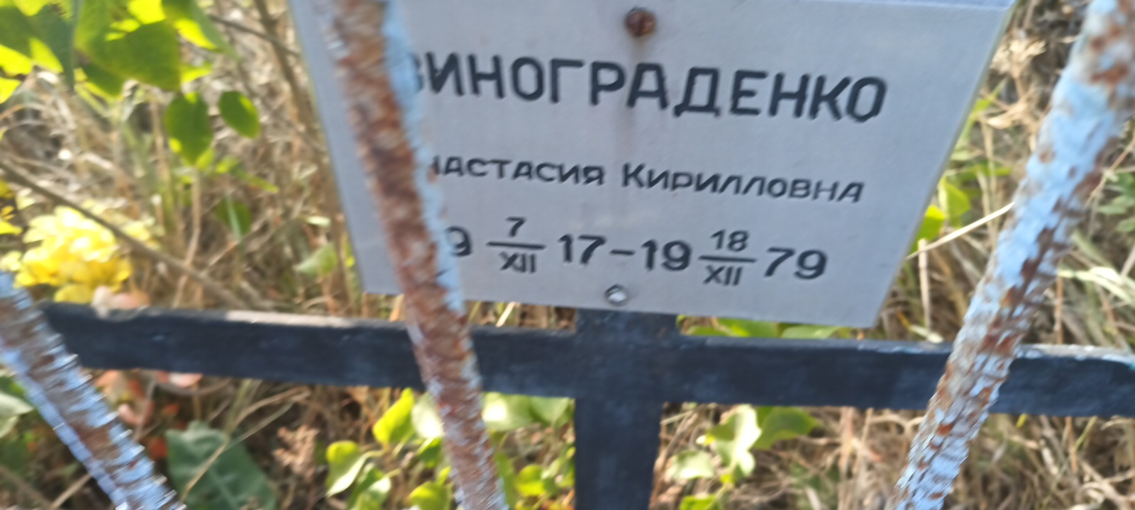 Винограденко Анастасия Кирилловна