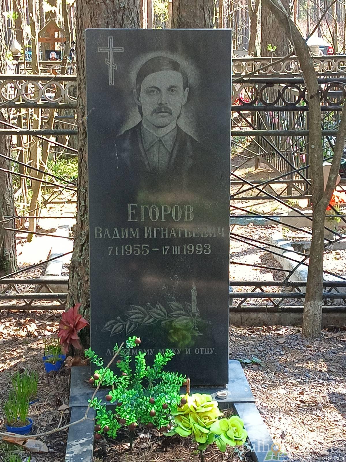 Егоров Вадим Игнатьевич