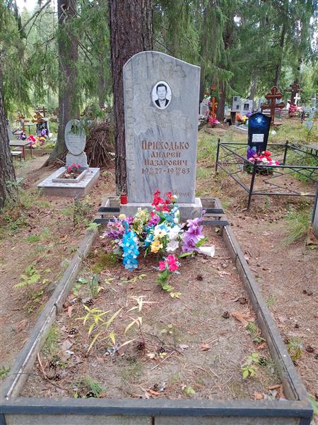 Приходько Андрей Назарович