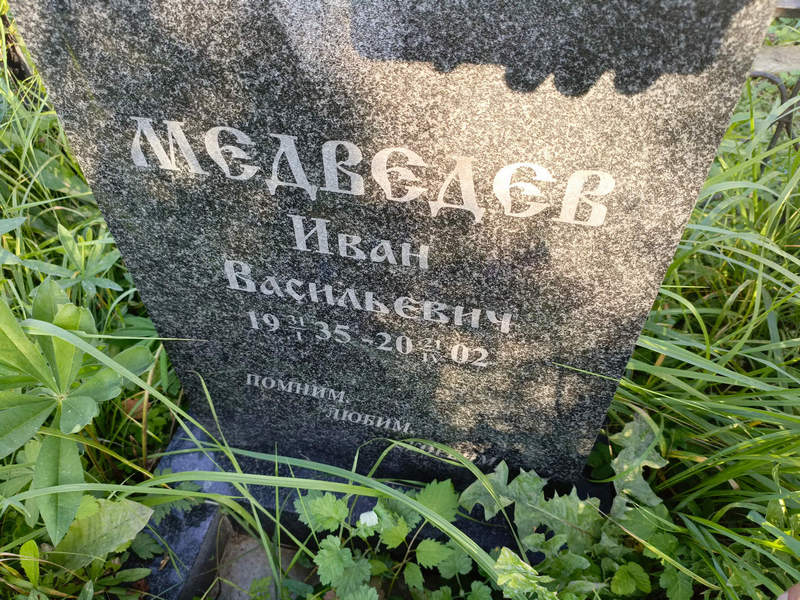 Медведев