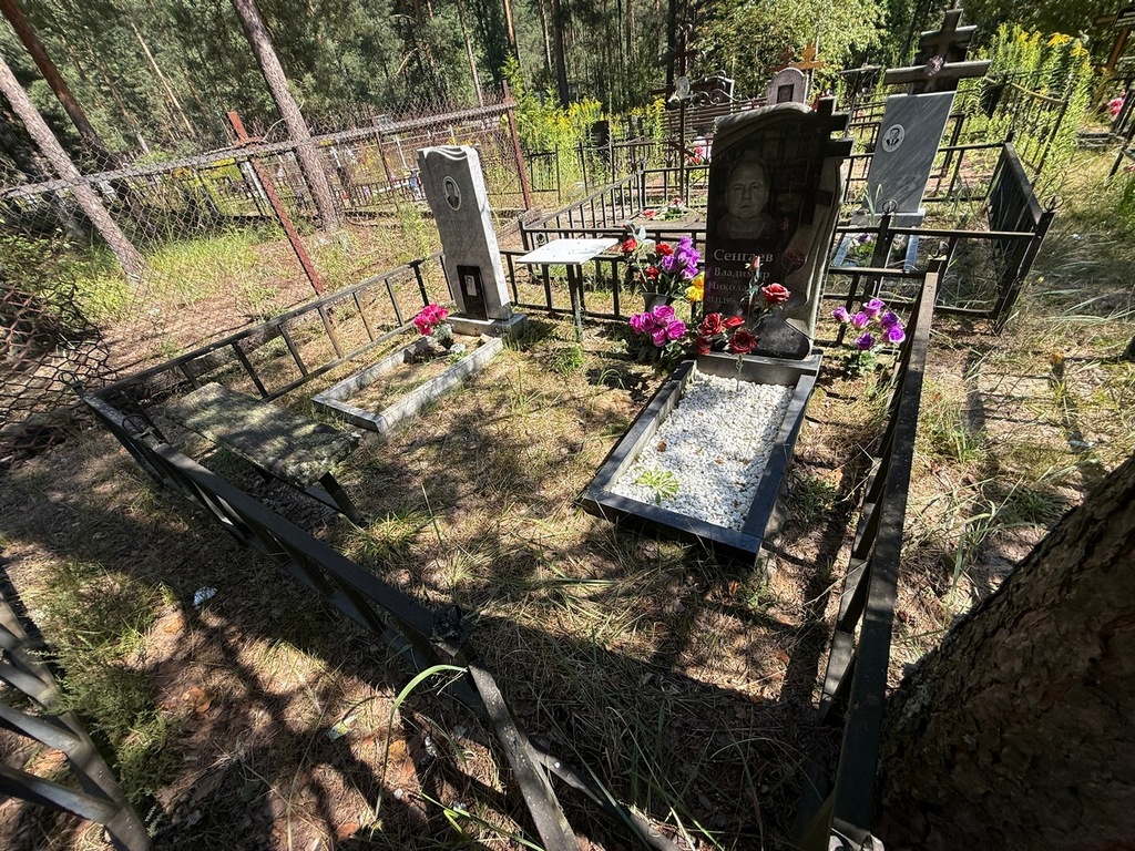 Сенгаев Владимир Николаевич
