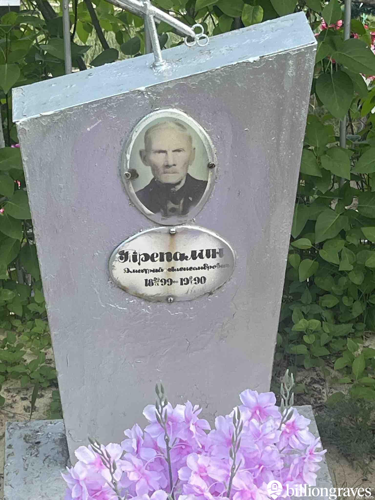 Трепалин Дмитрий Александрович