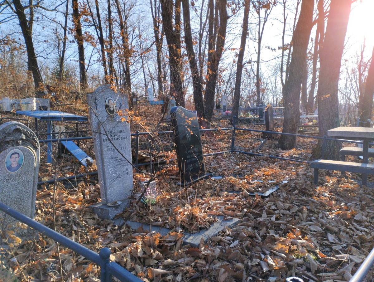 Качулин Николай Иванович