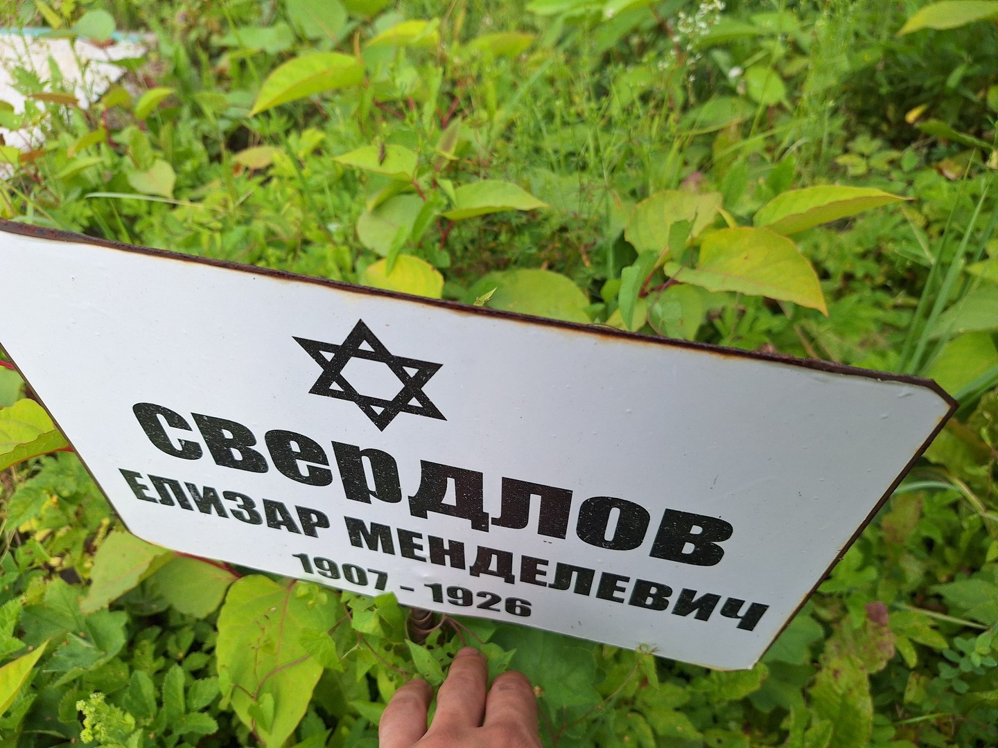 Елизар Свердлов Менделевич