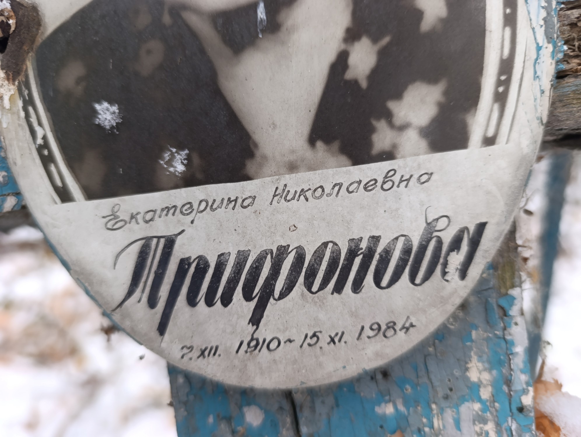 Трифонова Екатерина Николаевна