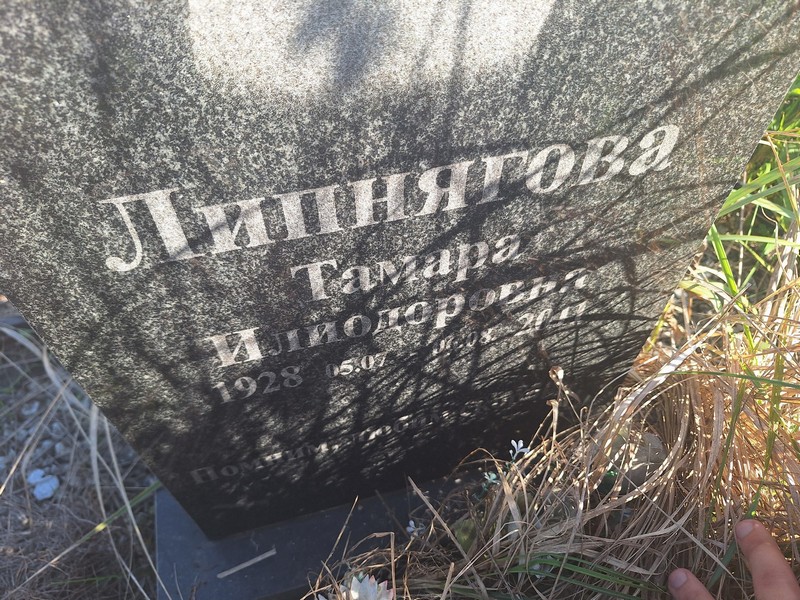Липнягова