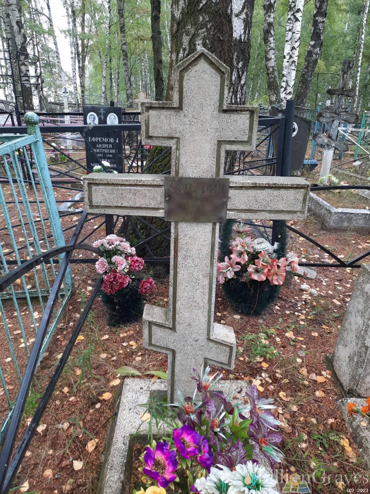 Чапурин Николай Ильич