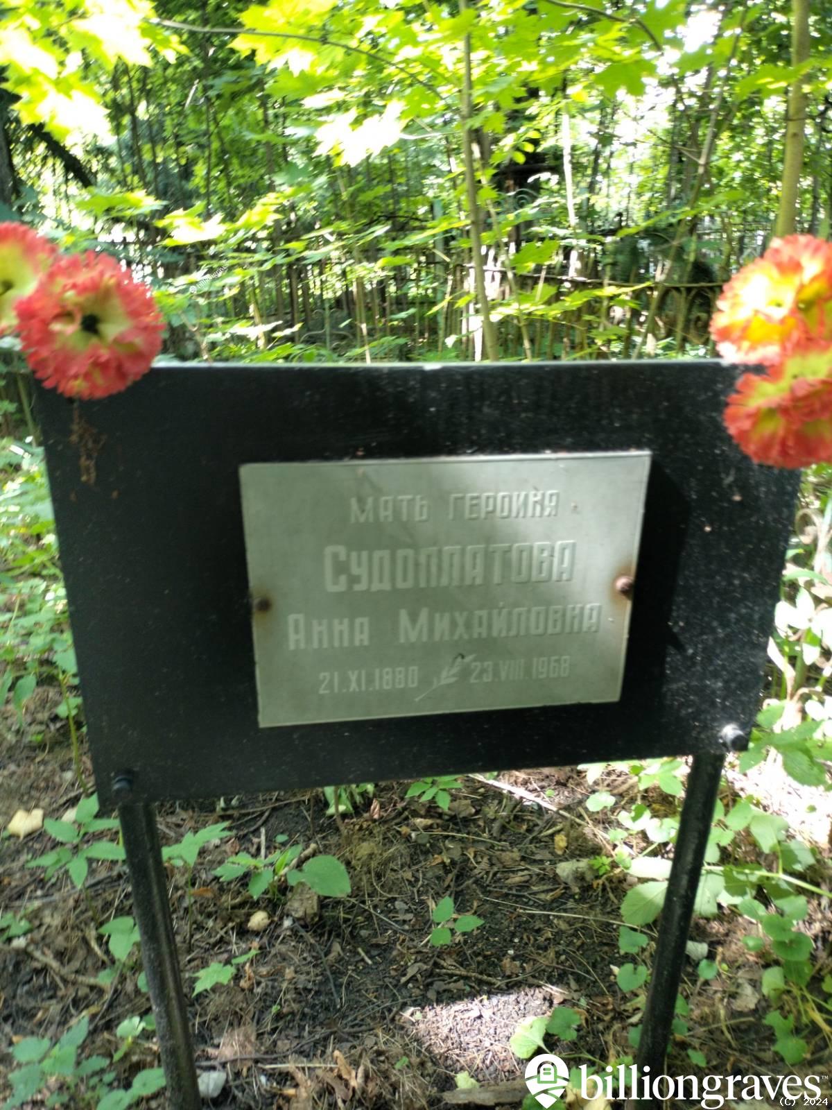Судоплатова Анна Михайловна