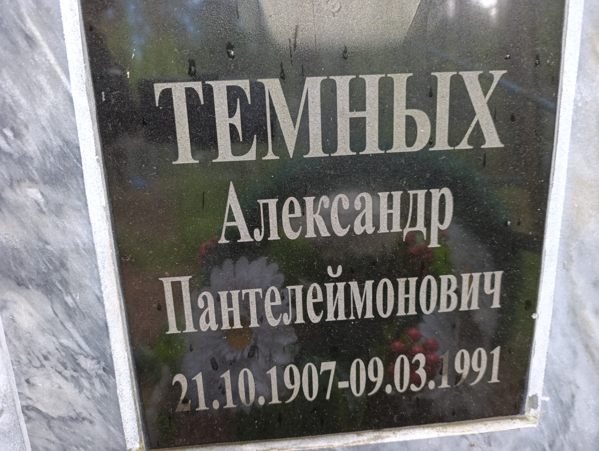 Темных Александр Пантелеймонович