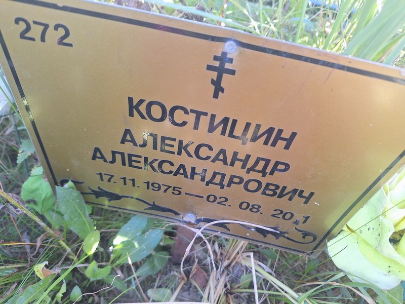 Костицин