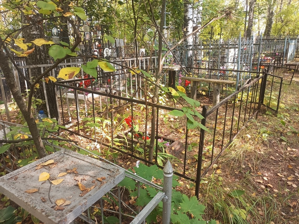 Ляпина Анна Васильевна