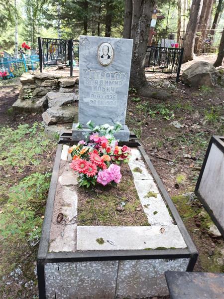 Митраков Владимир Ильич