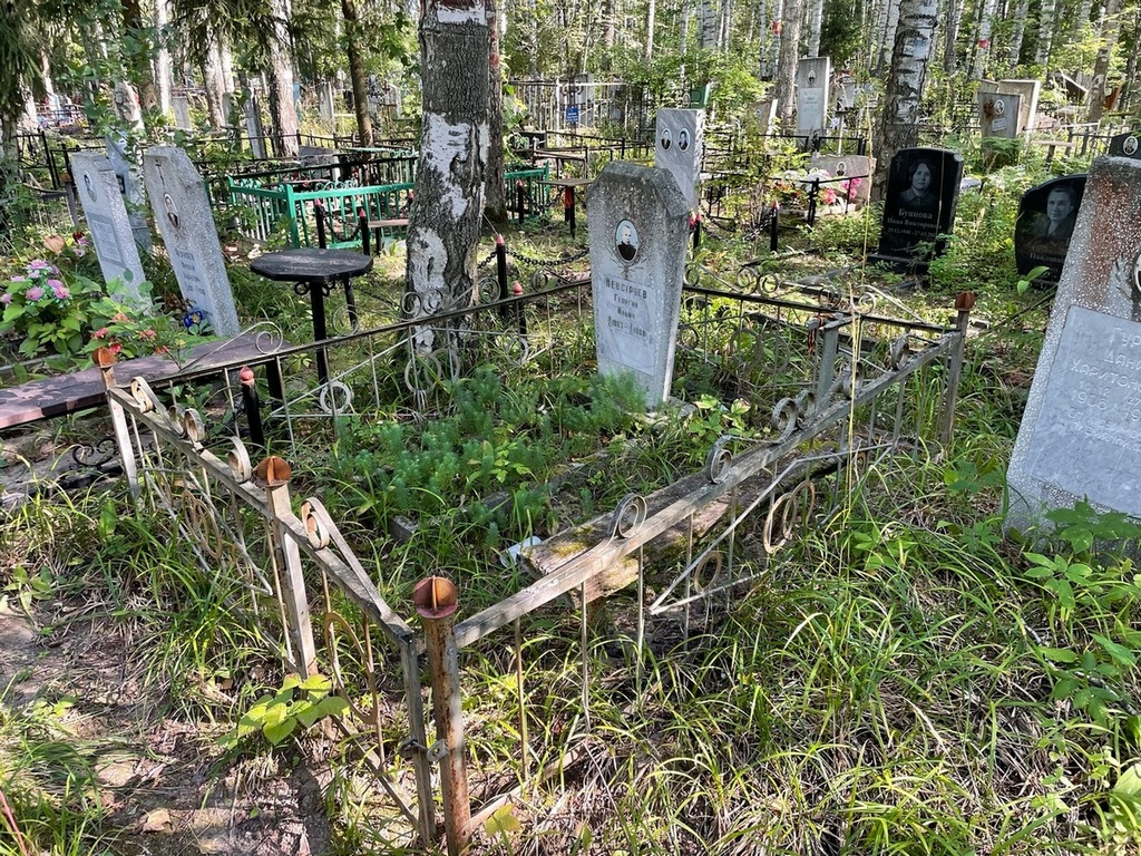 Невструев Георгий Ильич
