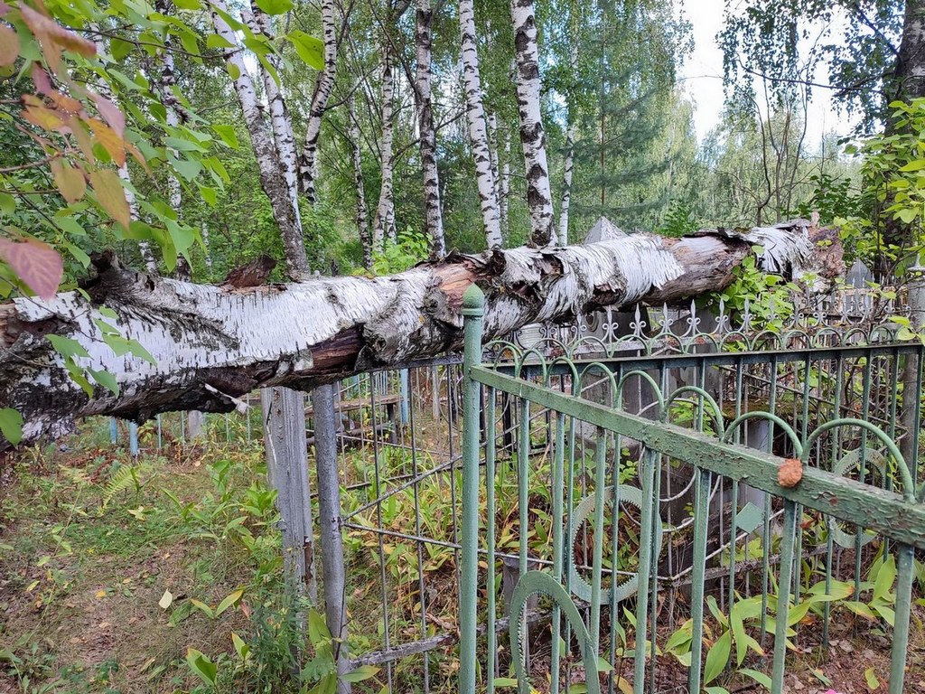 Кудряшева Евдокия Тимофеевна