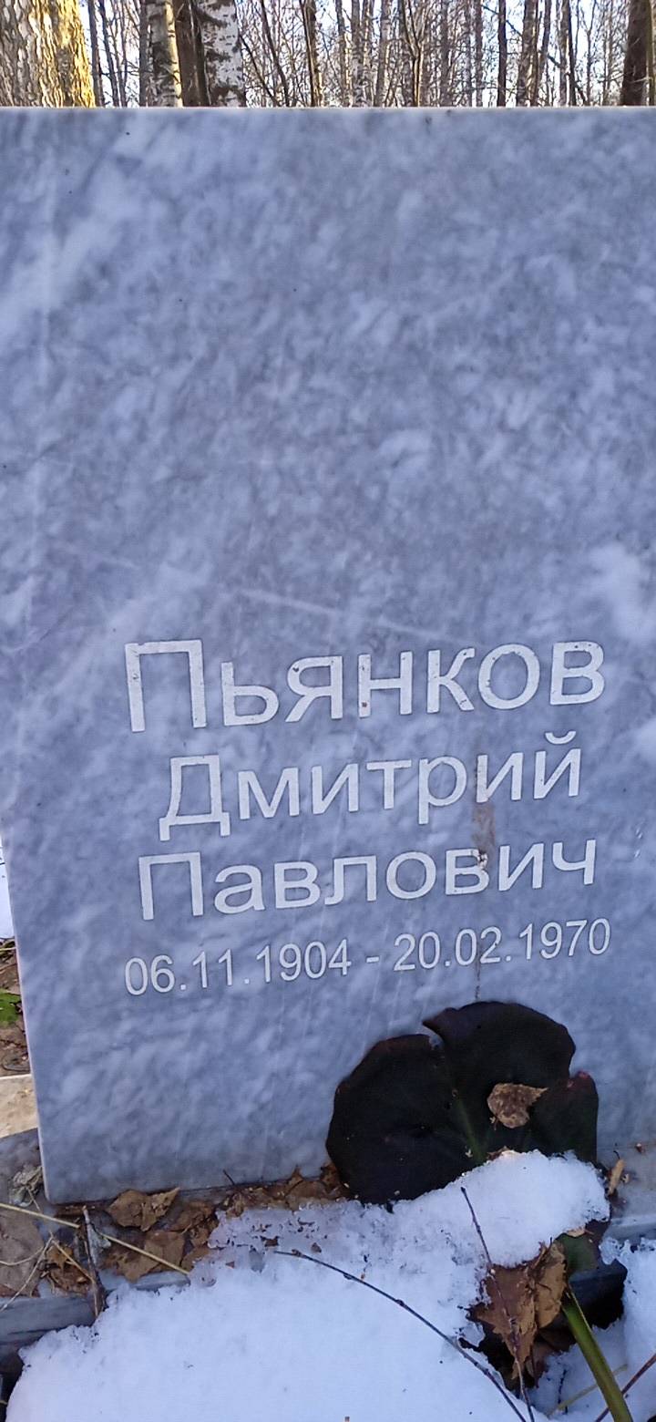 Пьянков Дмитрий Павлович