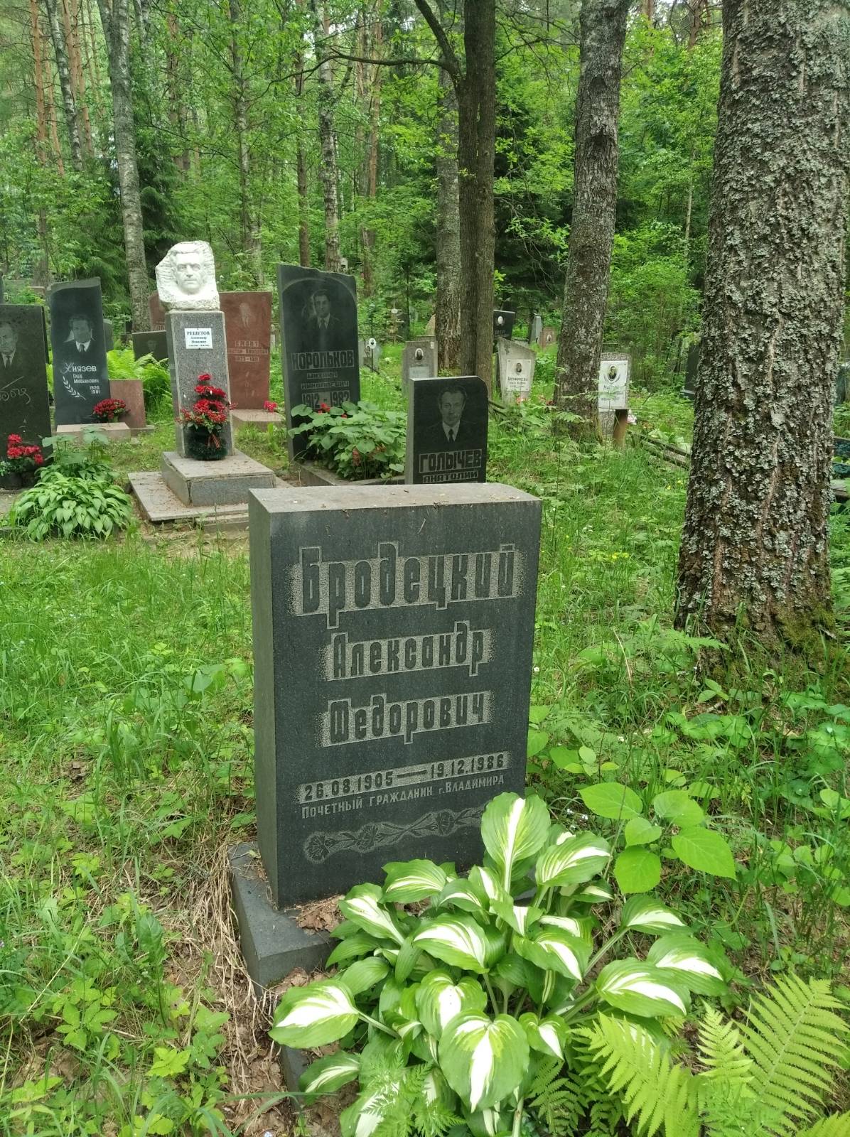 Бродецкий Александр Фёдорович