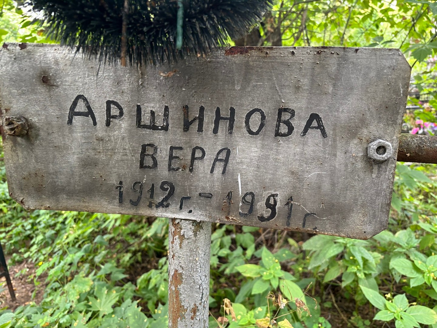 Аршинова Аршинова
