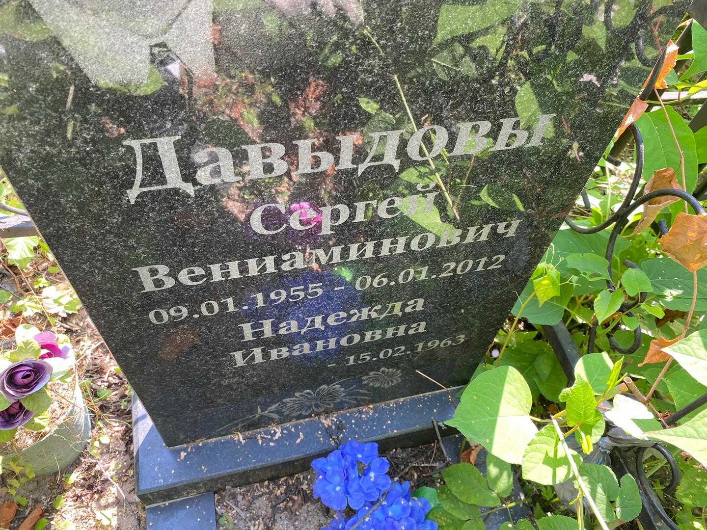 Давыдов