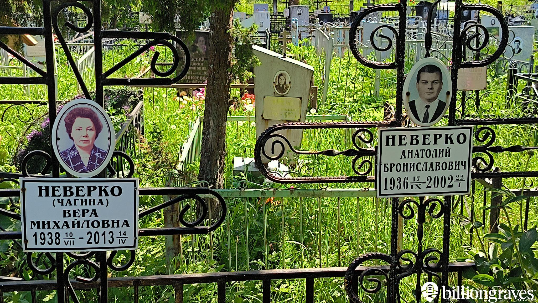 Неверко Анатолий Брониславович