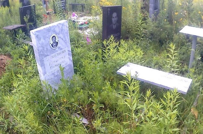 Николаева Елизавета Ивановна