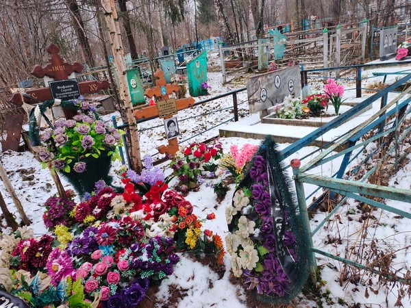 Фофанова Анна Алексеевна