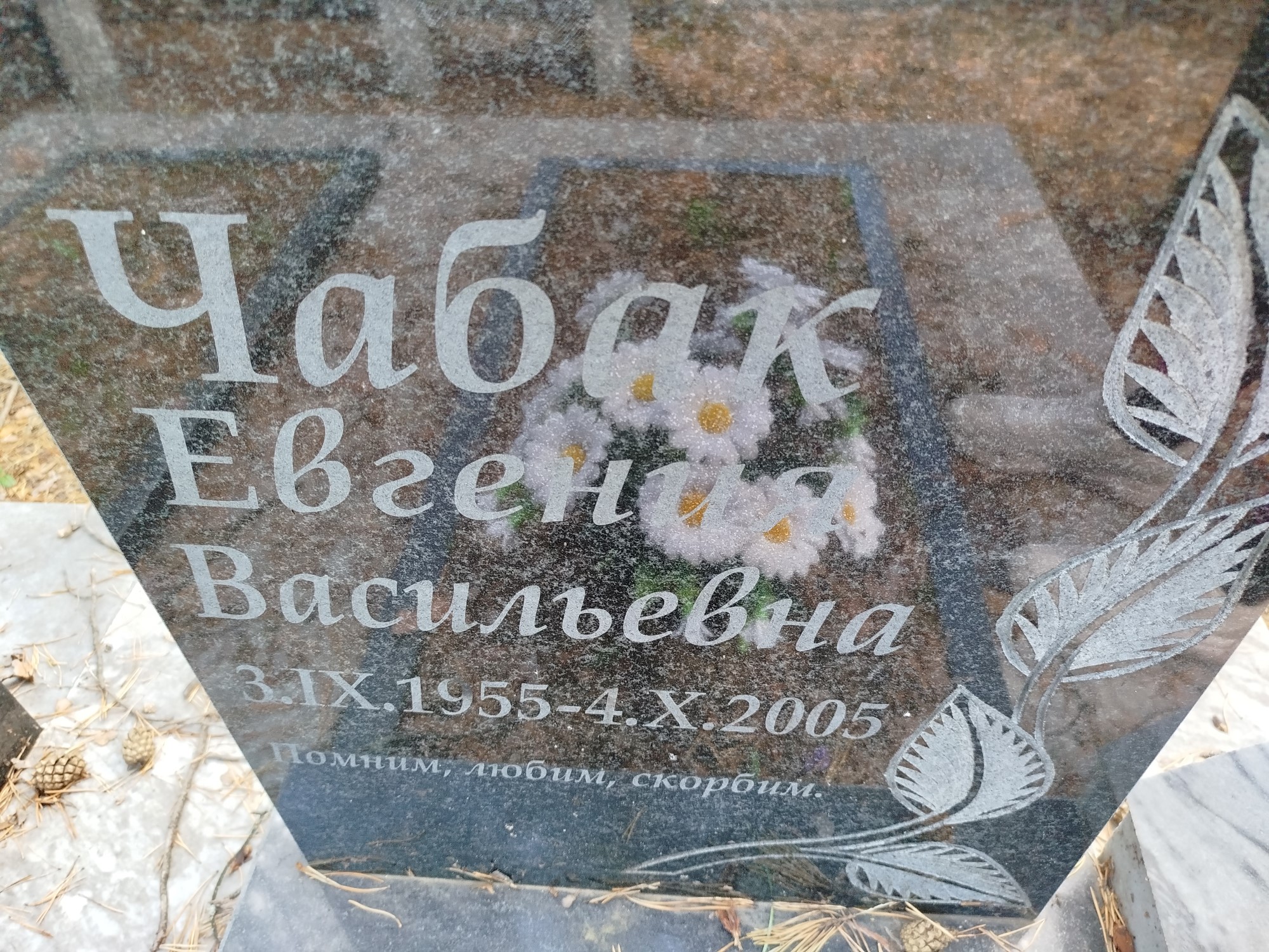 Чабак Евгения Васильевна