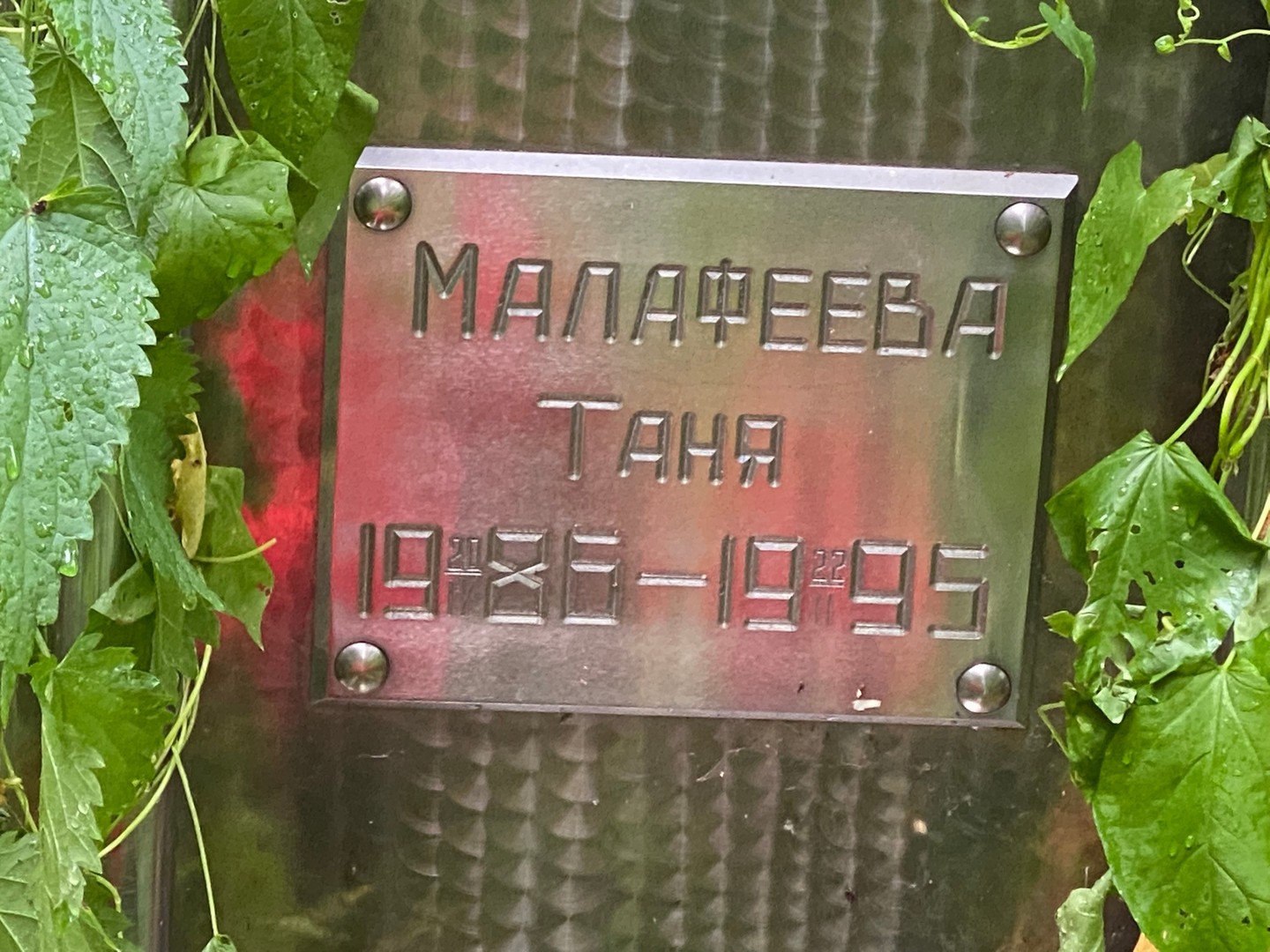Малафеева Малафеева