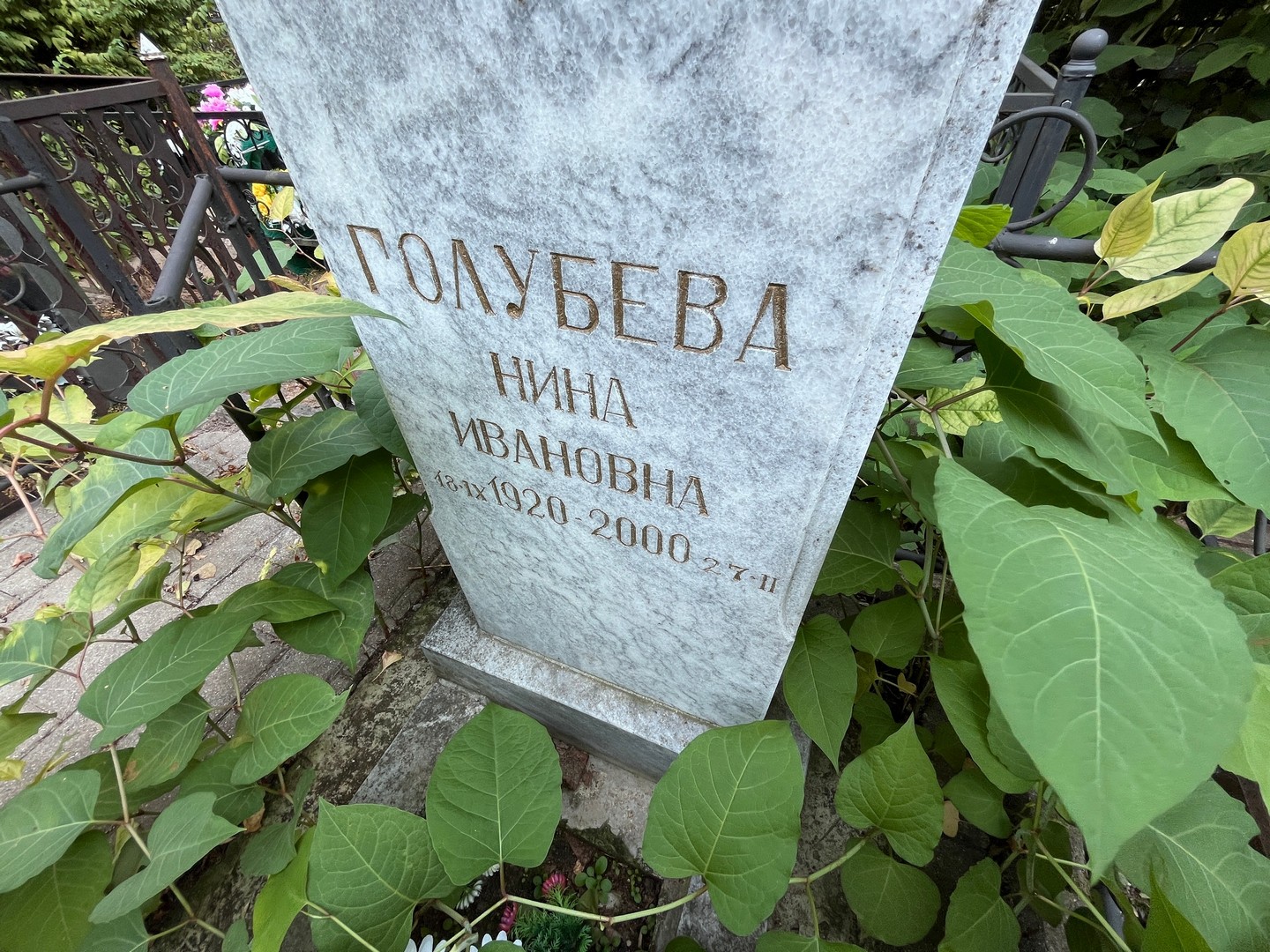 Голубева