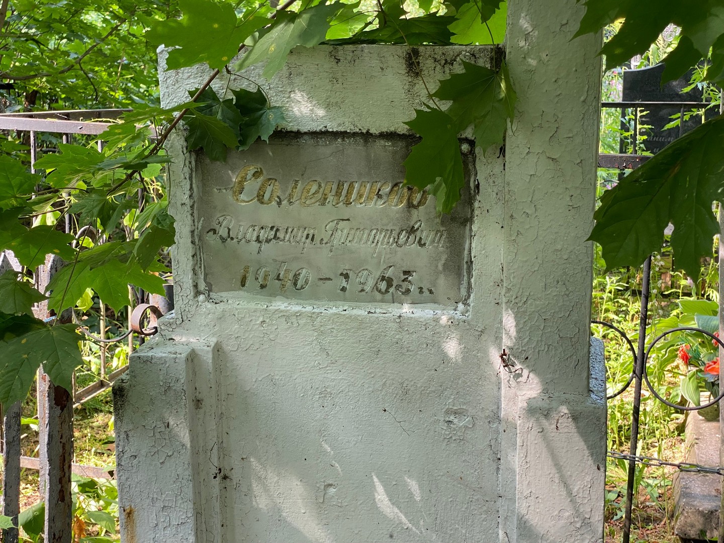 Солеников