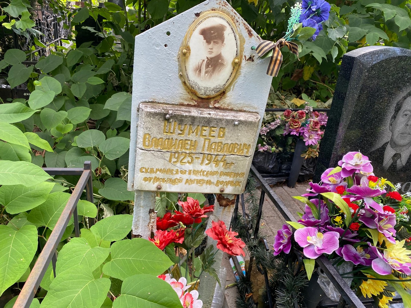 Владилен Шумеев Павлович