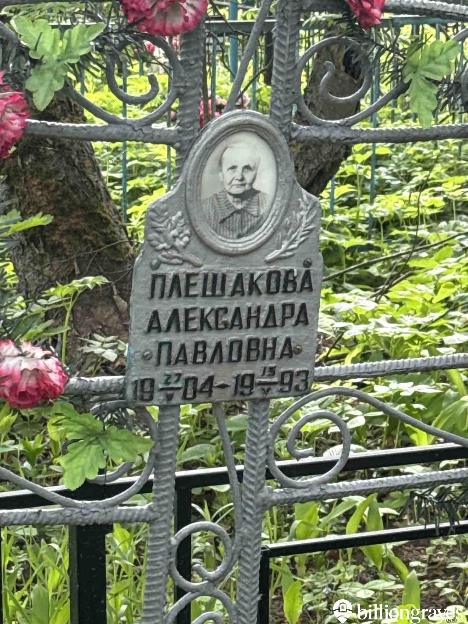 Плешакова Александра Павловна