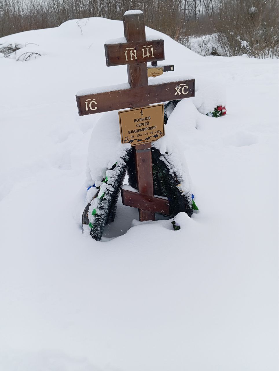 Вольнов