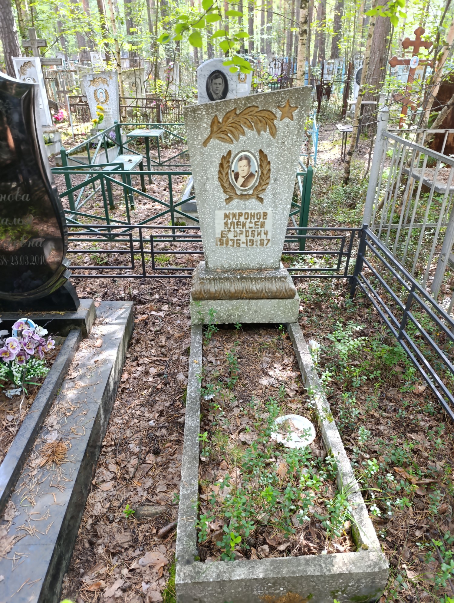 Миронов Алексей Егорович