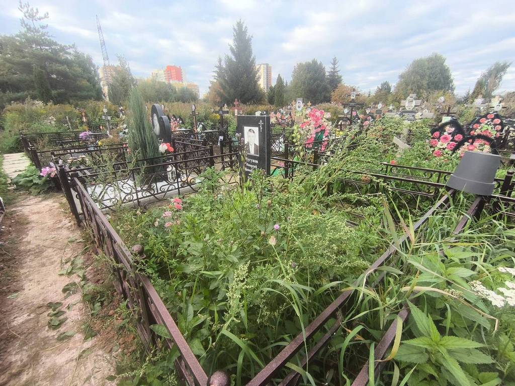 Чугунов Николай Диамидович
