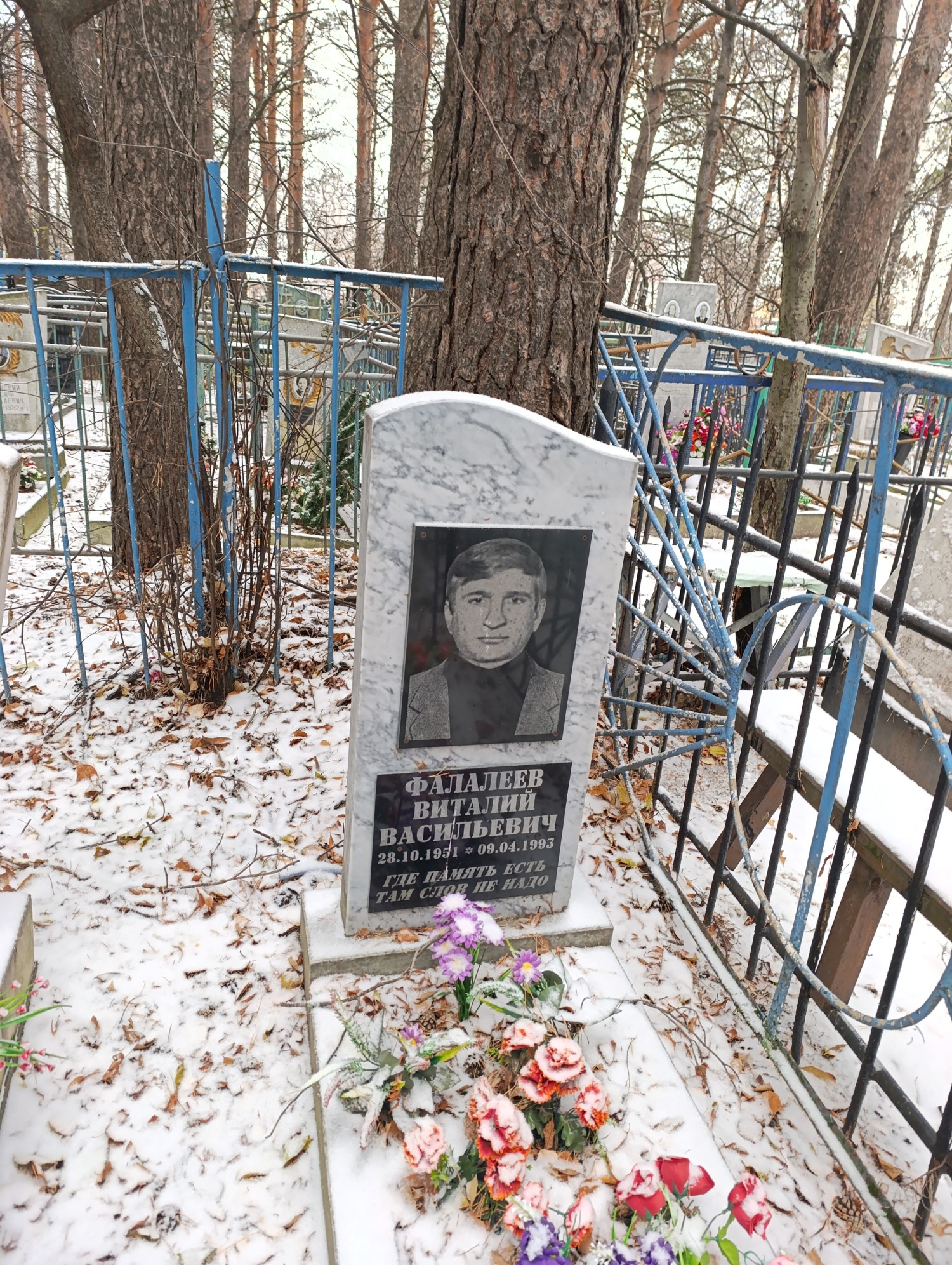 Фалалеев Виталий Васильевич