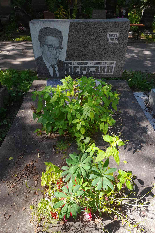 Березина Антонина Арсеньевна