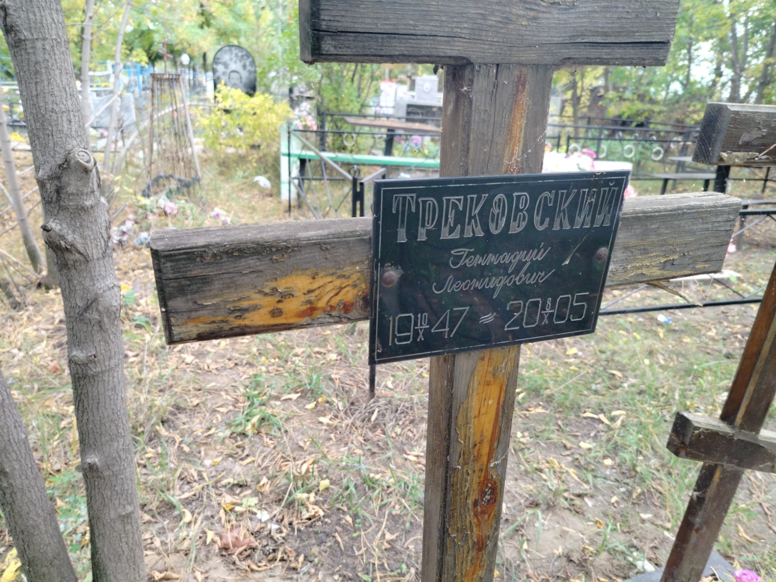 Трековский Геннадий Леонидович