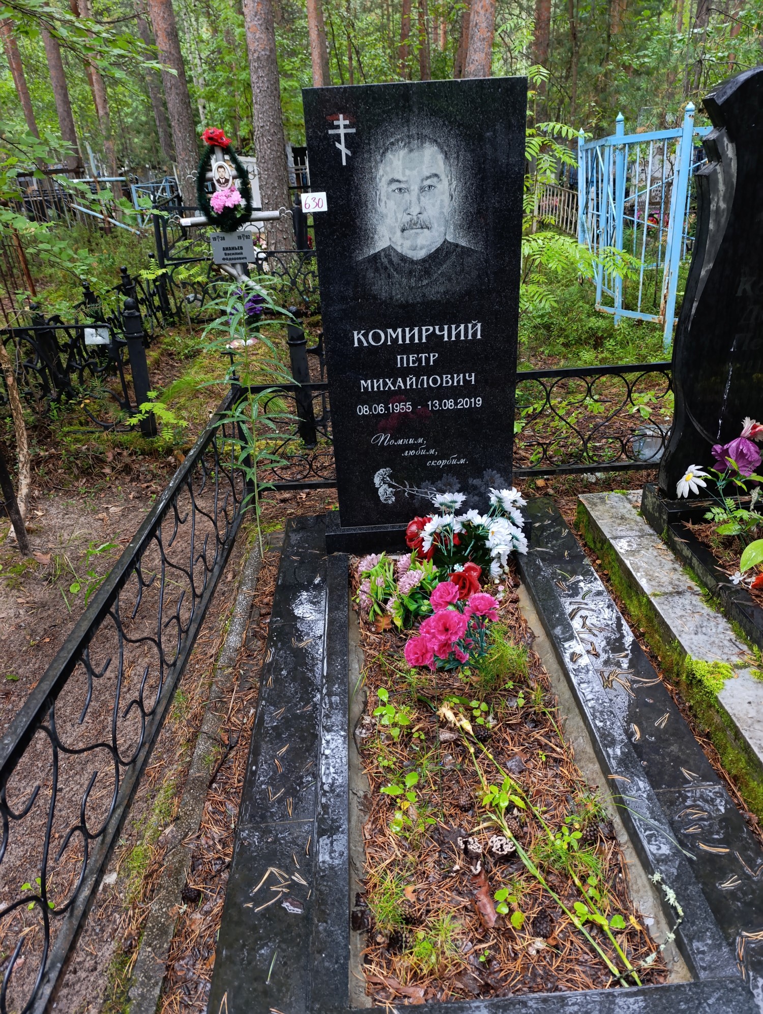 Комирчий Петр Михайлович
