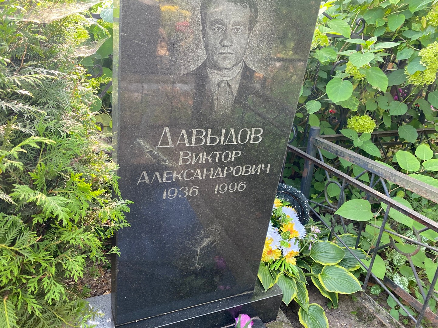 Давыдов
