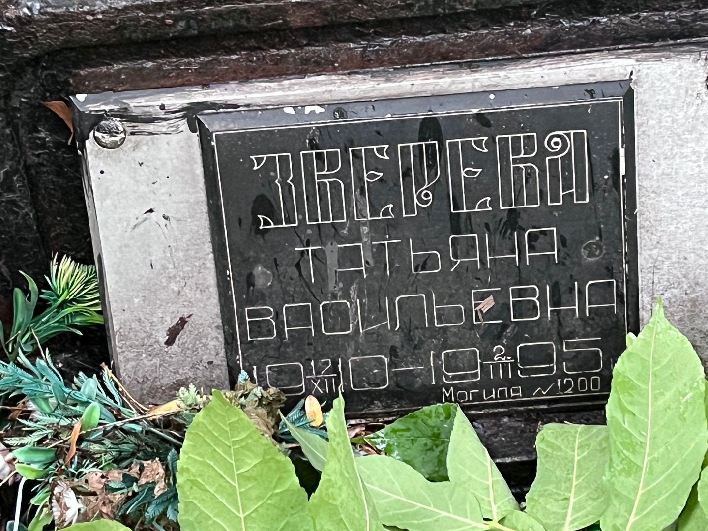 Зверева