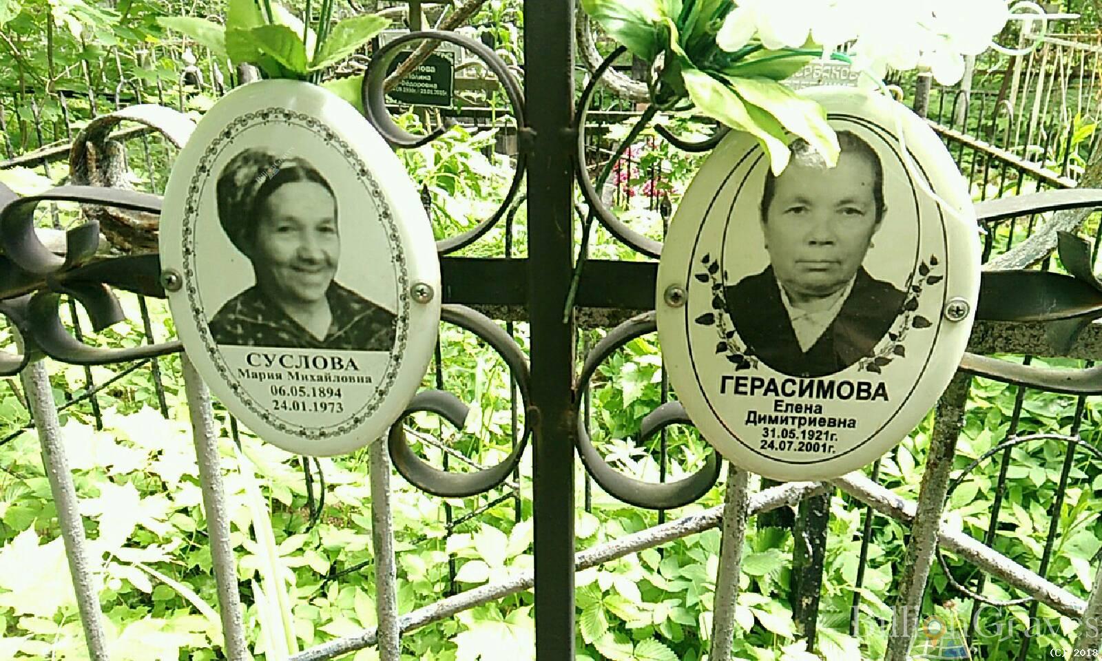 герасимова елена дмитриевна