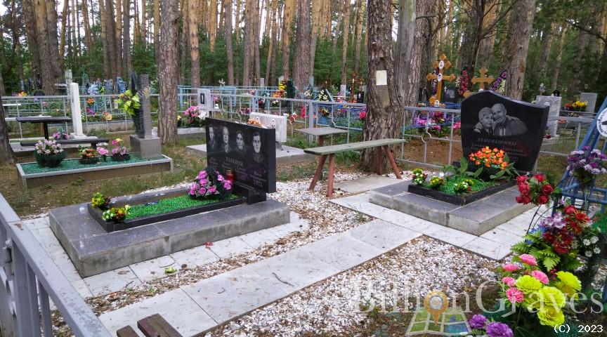 Деменьшин Александр Вениаминович