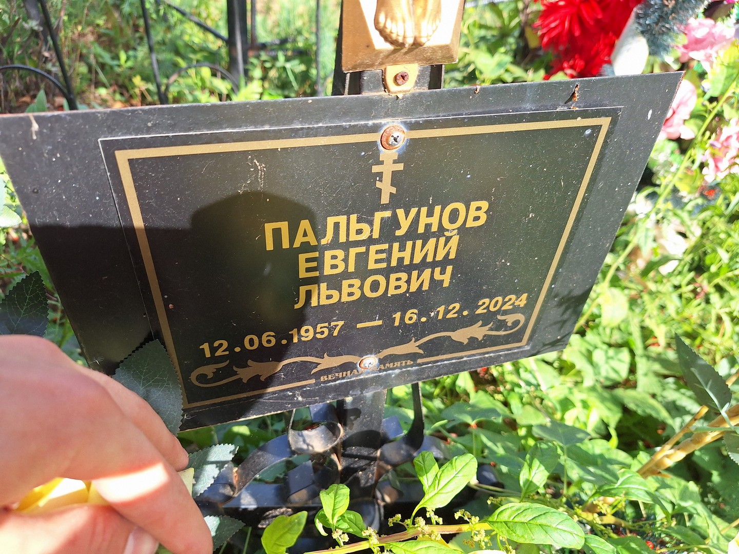 Пальгунов
