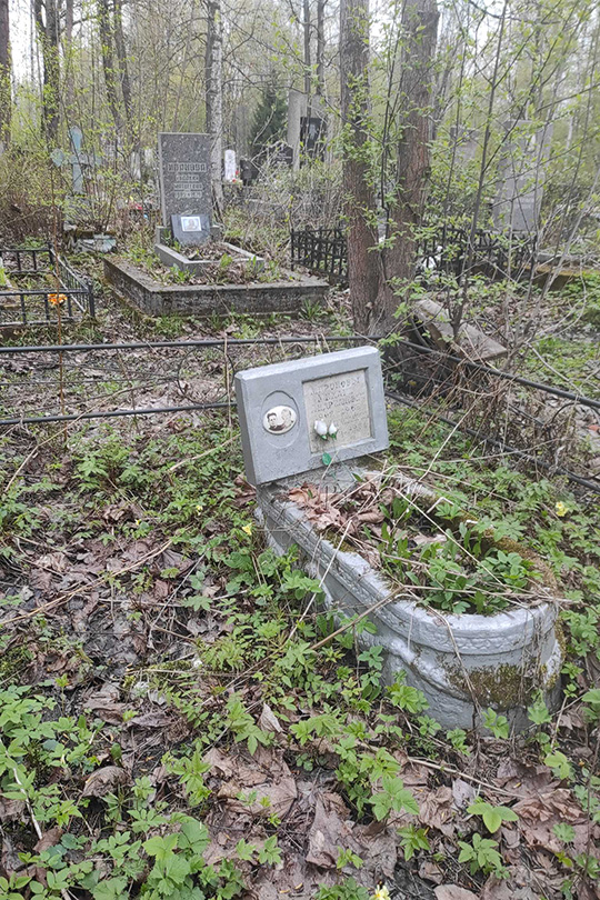 Миронова Анна Николаевна