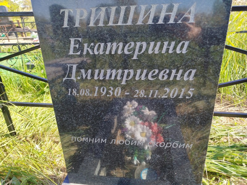 Тришина