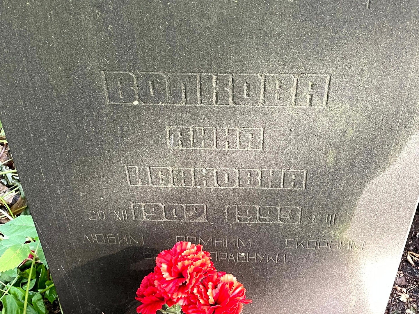 Волкова