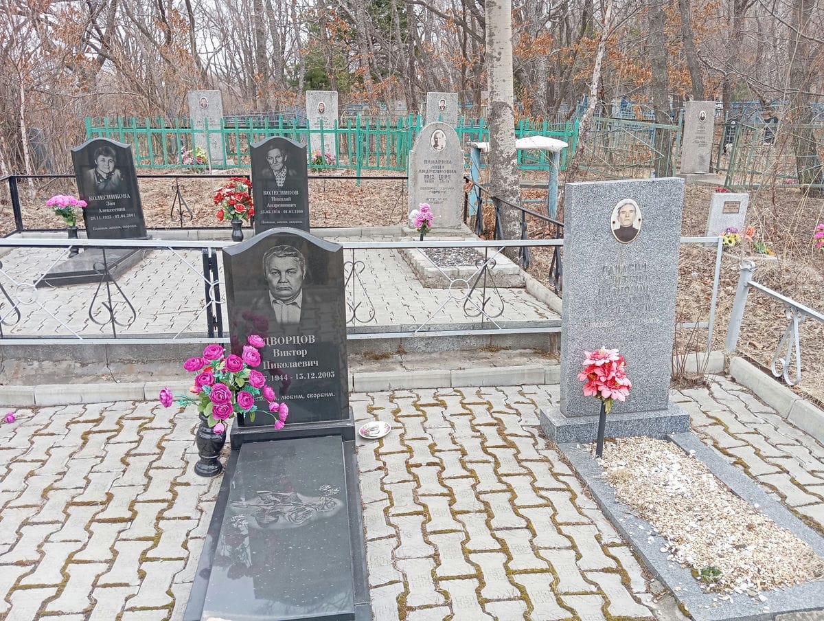 Панарин Дмитрий Иванович