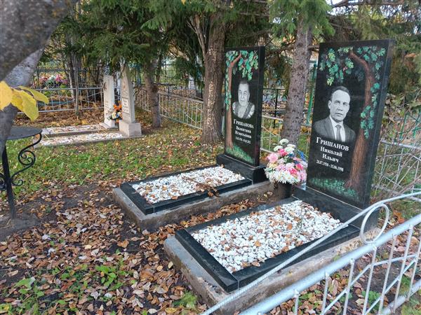 Гришанов Николай Ильич