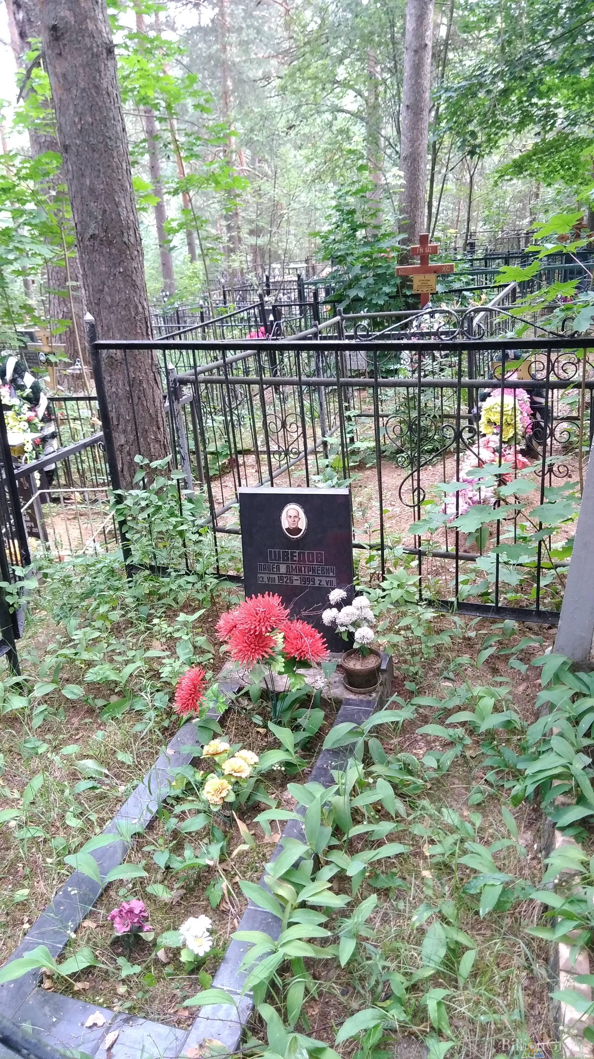 Шведов Павел Дмитриевич